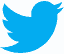 Patent Writing on Twitter